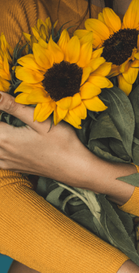 Sunflowers, ReCharge News